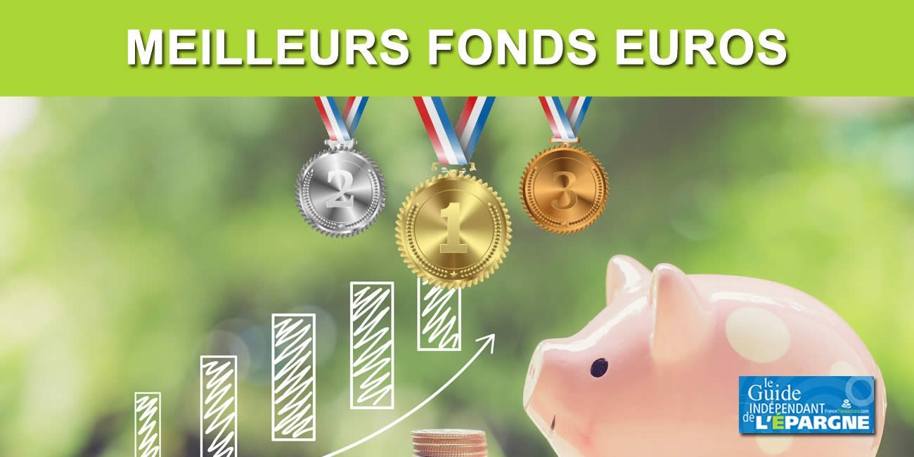 Fonds euros : les assureurs sommés de puiser dans leurs réserves au titre de l'année 2023