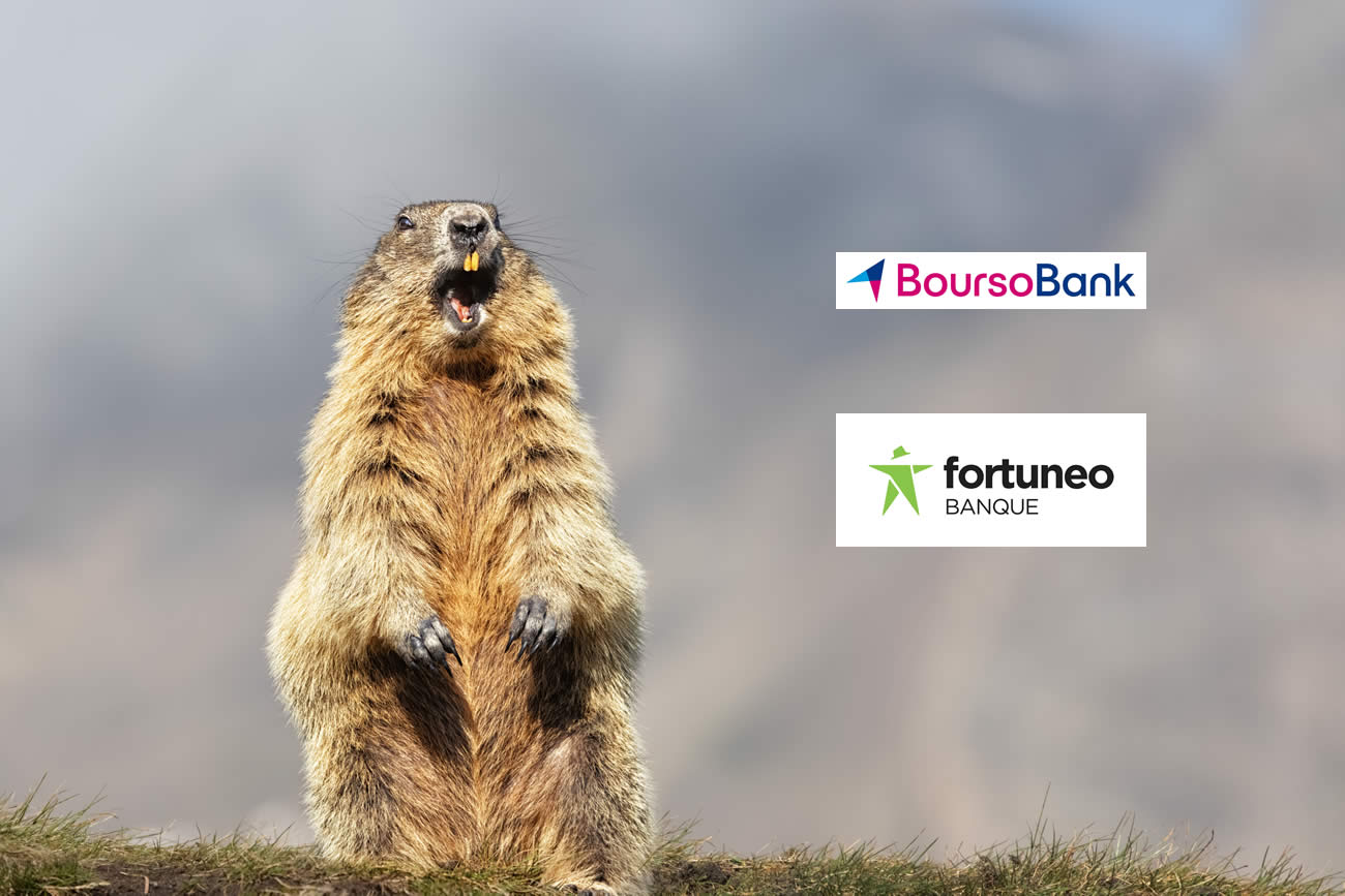 Banque la moins chère en 2024 : que dit la marmotte cette année ? encore Boursobank ?
