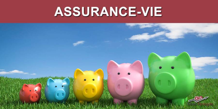 Assurance Vie 2025